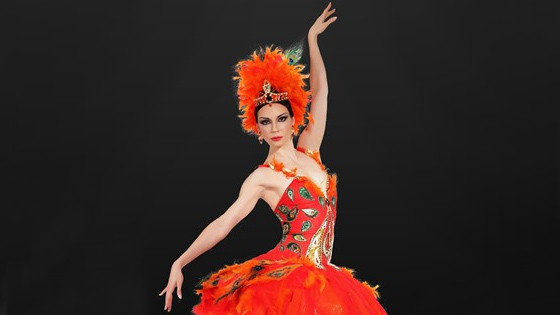 Image result for The Firebird Ballet